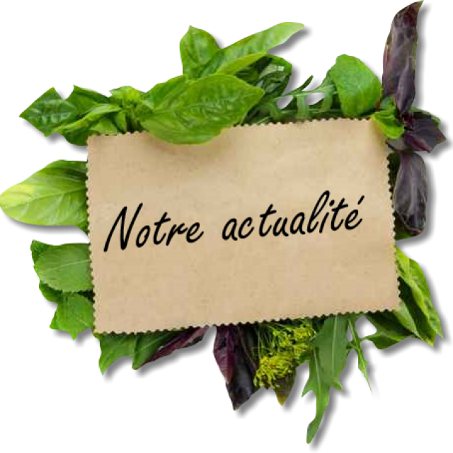 Notre actualité